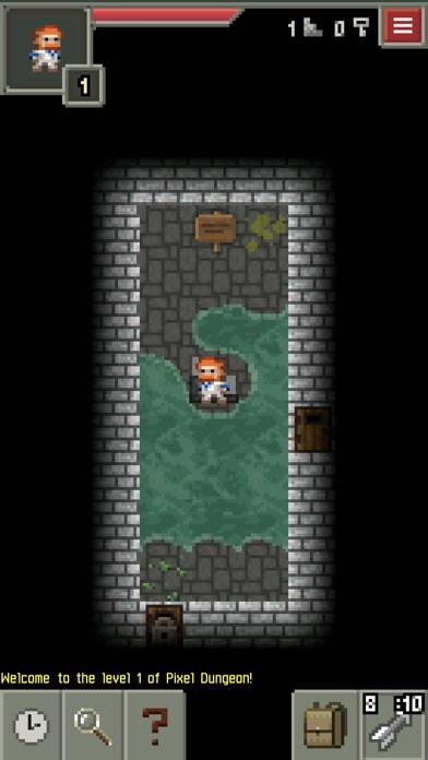 Pixel Dungeon iPhone Screenshot