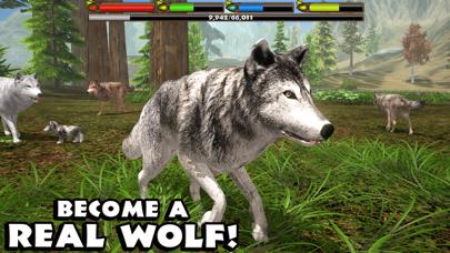 Ultimate Wolf Simulator iPhone Screenshot