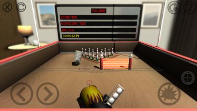 Pin Game iPhone Screenshot