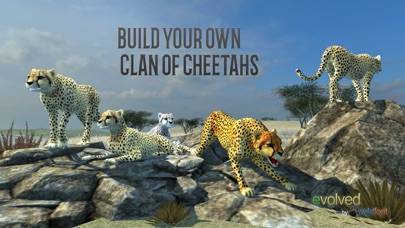 Clan Of Cheetahs iPhone Screenshot