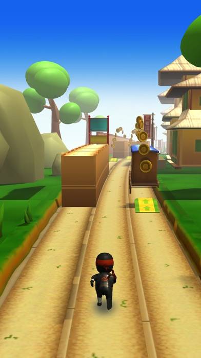 Ninja Runner 3D iPhone Screenshot
