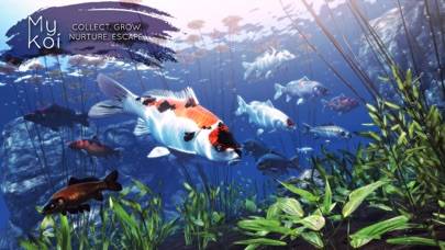 My Koi iPhone Screenshot