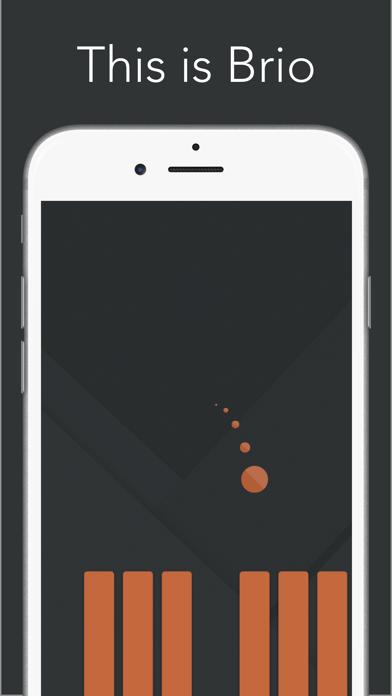 Brio iPhone Screenshot