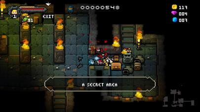 Heroes of Loot 2 iPhone Screenshot