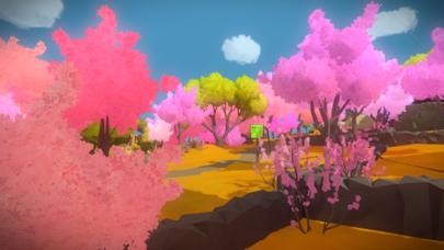 The Witness Game