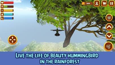 Hummingbird Simulator 3D Bird Life Game