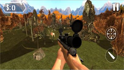 Forest Animal Hunting iOS