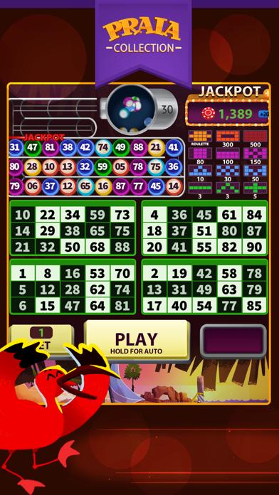 Video Bingo Jeri Game