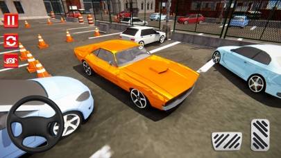 Valley Parking 3D Game