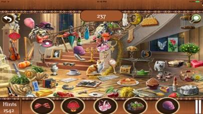 Hidden ObjectsBig Home Mania Game