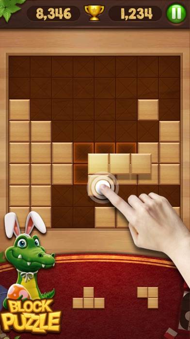 Block Puzzle Wood Game