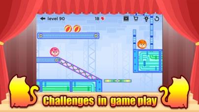 Two Cats Brain Games Game