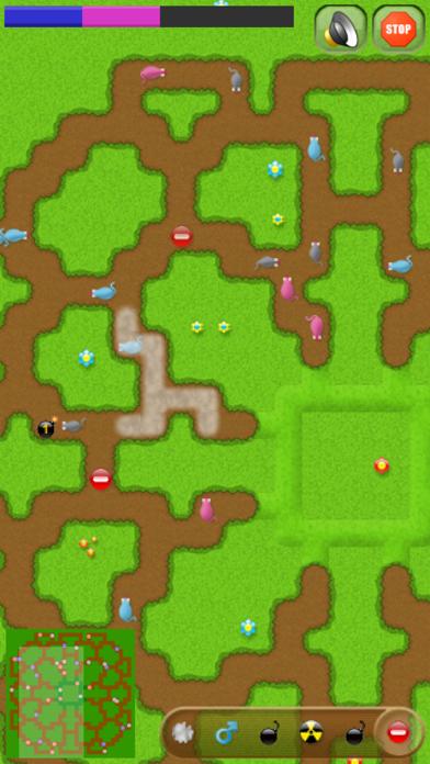 Rats! iPhone Screenshot