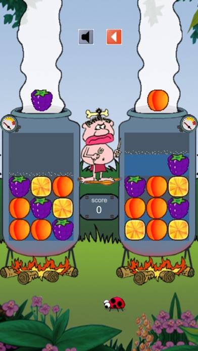 Fruitaholic iPhone Screenshot