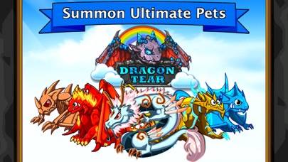 Dragon Tear (RPG) iPhone Screenshot