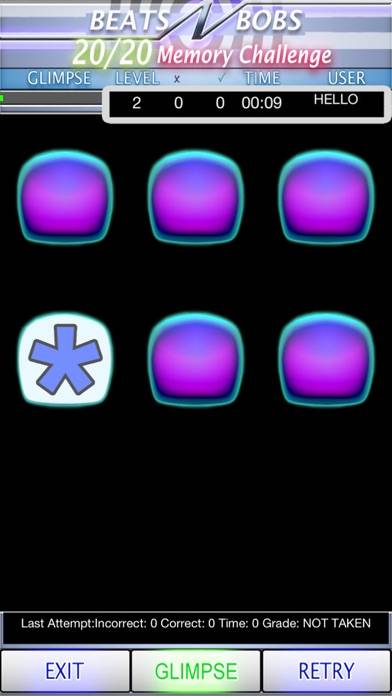 20/20 Memory Challenge iPhone Screenshot