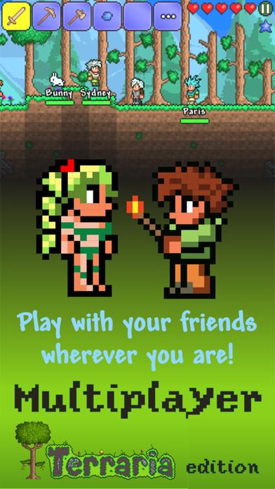 Multiplayer Terraria edition iPhone Screenshot