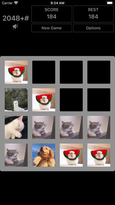 2048 plus# iPhone Screenshot