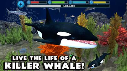 Orca Simulator iPhone Screenshot