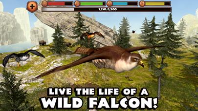 Falcon Simulator iPhone Screenshot