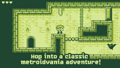 Tiny Dangerous Dungeons iPhone Screenshot