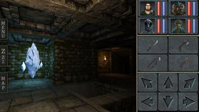 Legend of Grimrock iPhone Screenshot