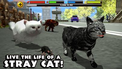 Stray Cat Simulator iPhone Screenshot