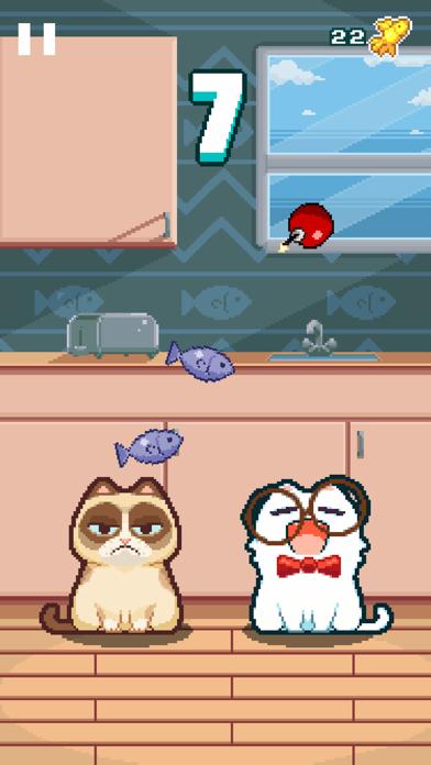 Nom Cat iPhone Screenshot