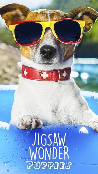 Jigsaw Wonder Puppies Puzzles for Kids iOS