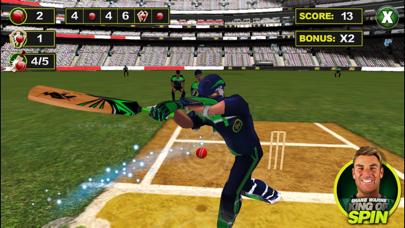 Shane Warne: King Of Spin iPhone Screenshot