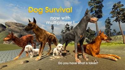 Dog Survival Simulator iPhone Screenshot
