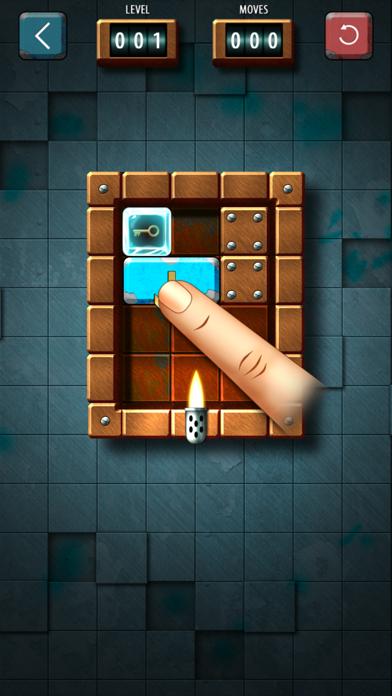 Slide Tetromino Premium iPhone Screenshot