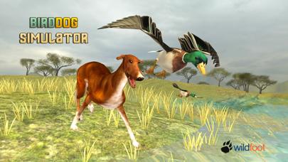 Bird Dog Chase Simulator iPhone Screenshot