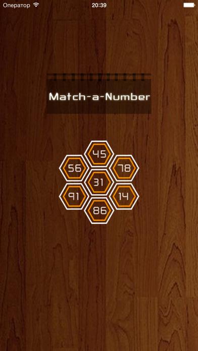 Match-a-Number iPhone Screenshot