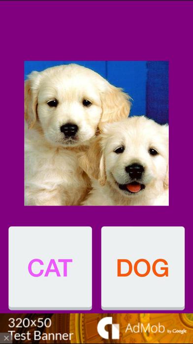 Tic Toc: Cat or Dog iPhone Screenshot
