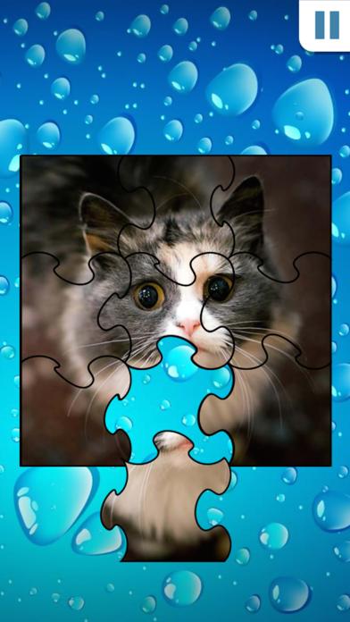 Jigsaw Puzzles 2015 iPhone Screenshot