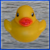 Duck Invader App Icon