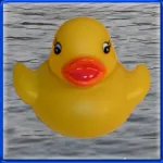 Duck Invader App icon