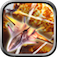 Air Master Flight app icon