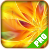 Game Pro app icon