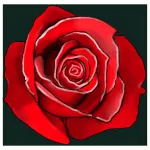 Roseistry App icon