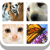 Close Up Animals 2015 app icon