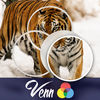 Venn Tigers: Overlapping Jigsaw Puzzles app icon