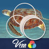 Venn Turtles: Overlapping Jigsaw Puzzles app icon
