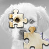 Cute Dogs Jigsaw Puzzle Set app icon