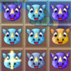 A Angry Rhino Combinator app icon