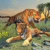 Clan of Tigers app icon
