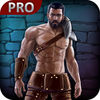 Blood Heroes Pro app icon