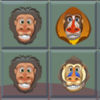 A Baboon Match Bloom app icon