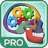 Ultimate Anatomy Quiz & Trivia Pro app icon